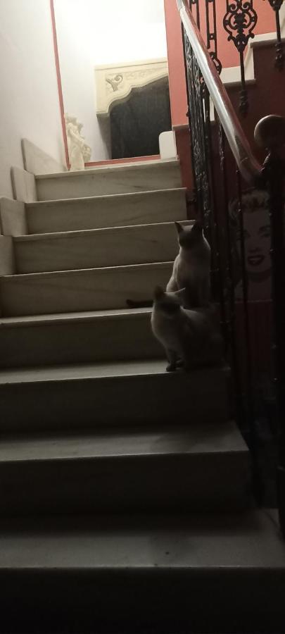 甘迪亚Casa Artistica住宿加早餐旅馆 外观 照片